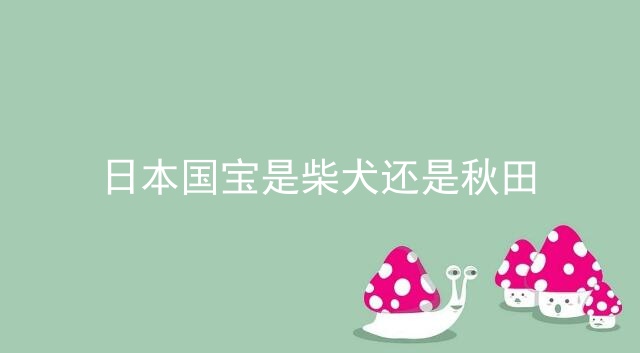 日本国宝是柴犬还是秋田