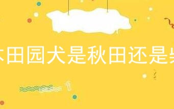 日本田园犬是秋田还是柴犬