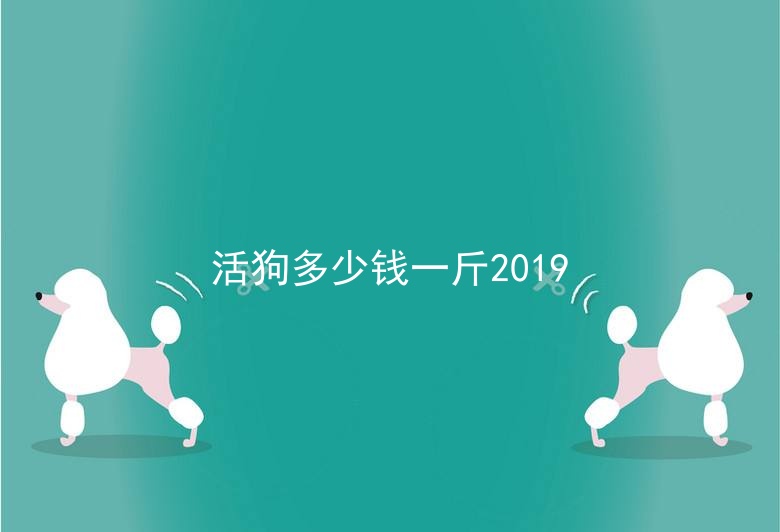 活狗多少钱一斤2019