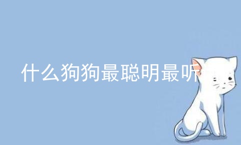 什么狗狗最聪明最听话