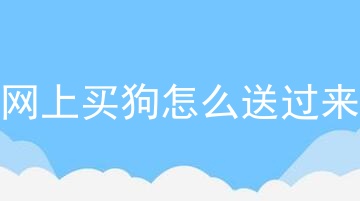 网上买狗怎么送过来