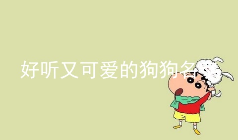 好听又可爱的狗狗名字