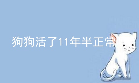 狗狗活了11年半正常吗