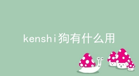 kenshi狗有什么用