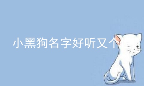 小黑狗名字好听又个性