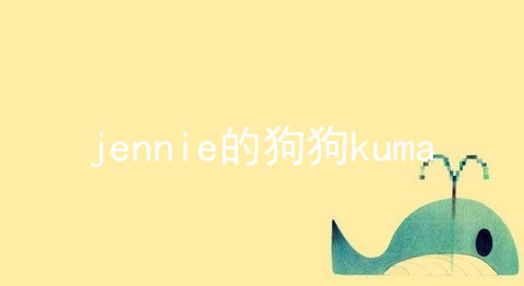 jennie的狗狗kuma