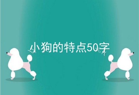 小狗的特点50字