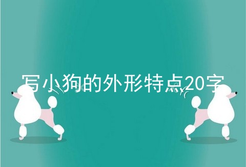 写小狗的外形特点20字