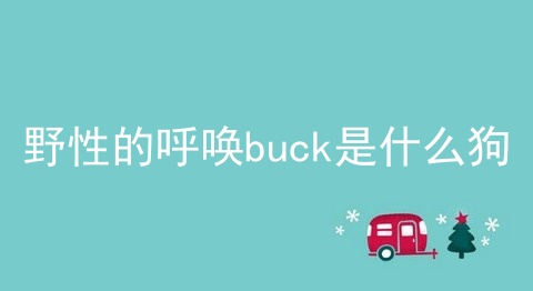 野性的呼唤buck是什么狗