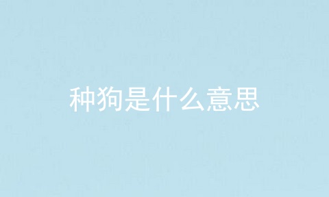 种狗是什么意思