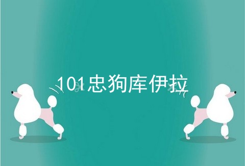 101忠狗库伊拉