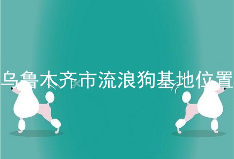 乌鲁木齐市流浪狗基地位置