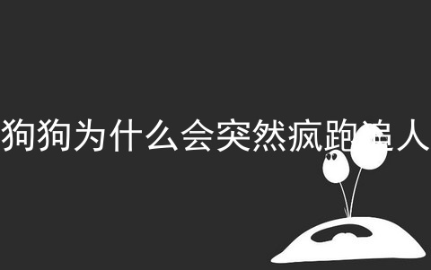 狗狗为什么会突然疯跑追人