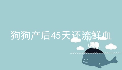 狗狗产后45天还流鲜血