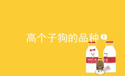 高个子狗的品种