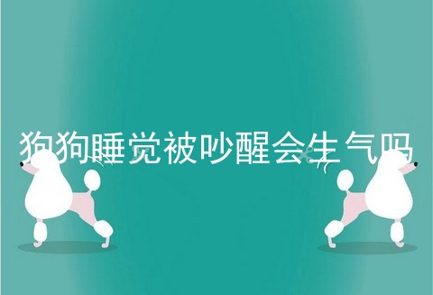 狗狗睡觉被吵醒会生气吗