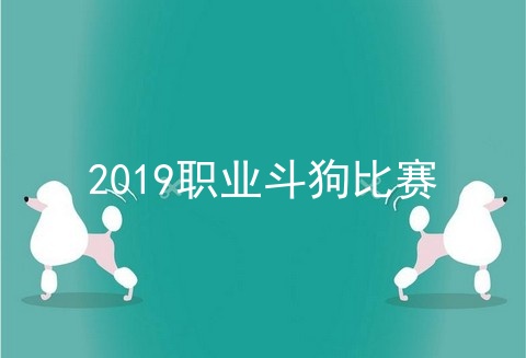 2019职业斗狗比赛