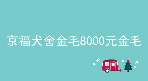 京福犬舍金毛8000元金毛