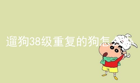 遛狗38级重复的狗怎么办