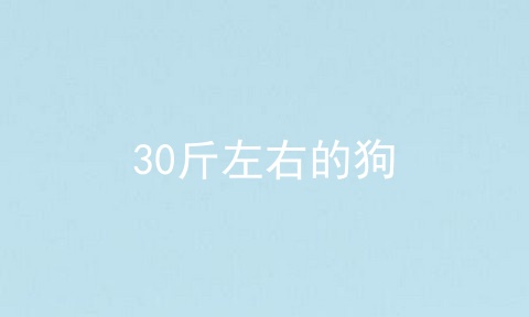 30斤左右的狗