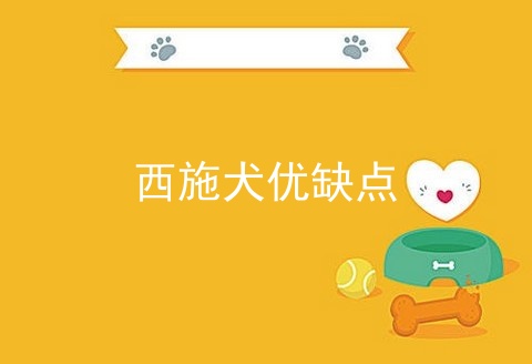 西施犬优缺点