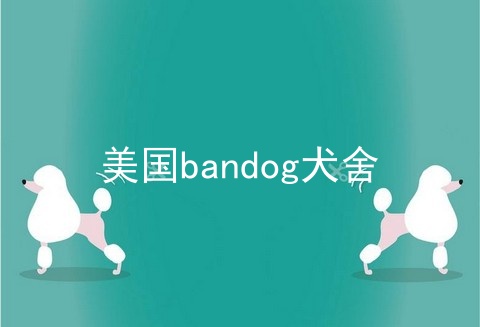 美国bandog犬舍