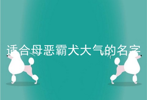 适合母恶霸犬大气的名字