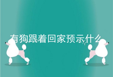 有狗跟着回家预示什么