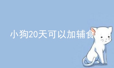 小狗20天可以加辅食吗