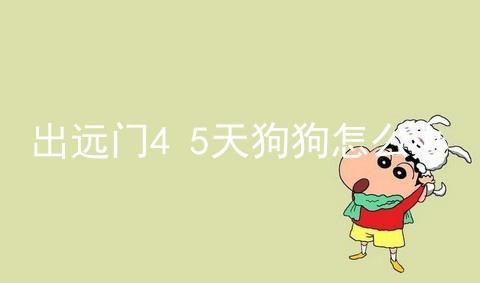 出远门4 5天狗狗怎么办