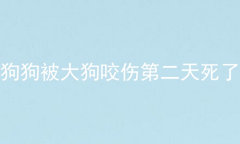 狗狗被大狗咬伤第二天死了