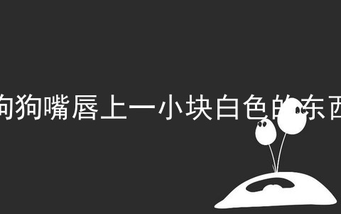 狗狗嘴唇上一小块白色的东西