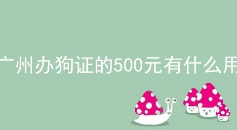 广州办狗证的500元有什么用