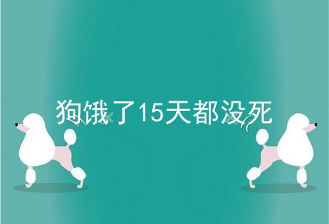 狗饿了15天都没死