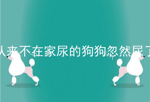 从来不在家尿的狗狗忽然尿了