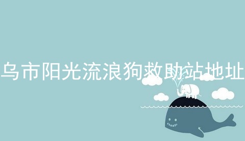 乌市阳光流浪狗救助站地址