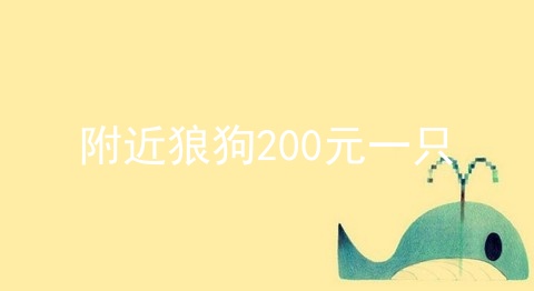 附近狼狗200元一只