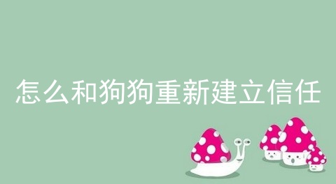 怎么和狗狗重新建立信任