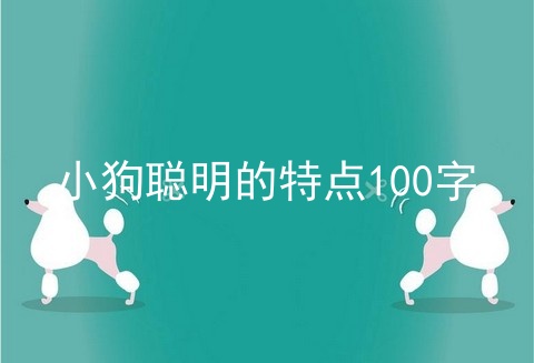 小狗聪明的特点100字