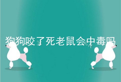 狗狗咬了死老鼠会中毒吗