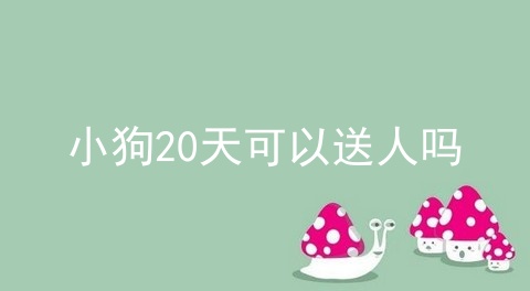 小狗20天可以送人吗