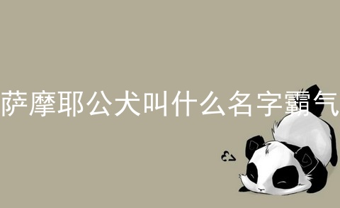 萨摩耶公犬叫什么名字霸气