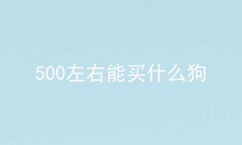 500左右能买什么狗