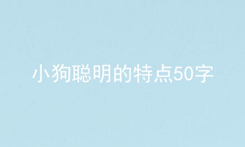 小狗聪明的特点50字