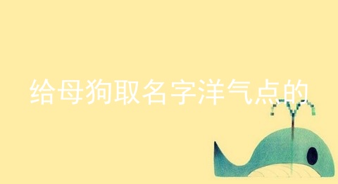 给母狗取名字洋气点的