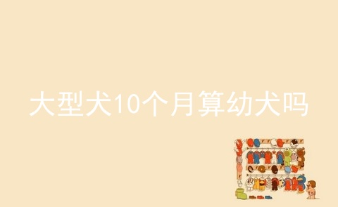 大型犬10个月算幼犬吗