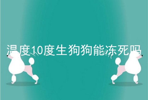 温度10度生狗狗能冻死吗