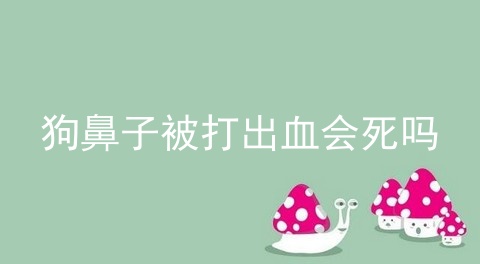 狗鼻子被打出血会死吗