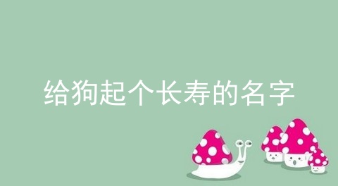 给狗起个长寿的名字