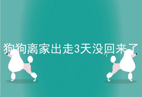 狗狗离家出走3天没回来了